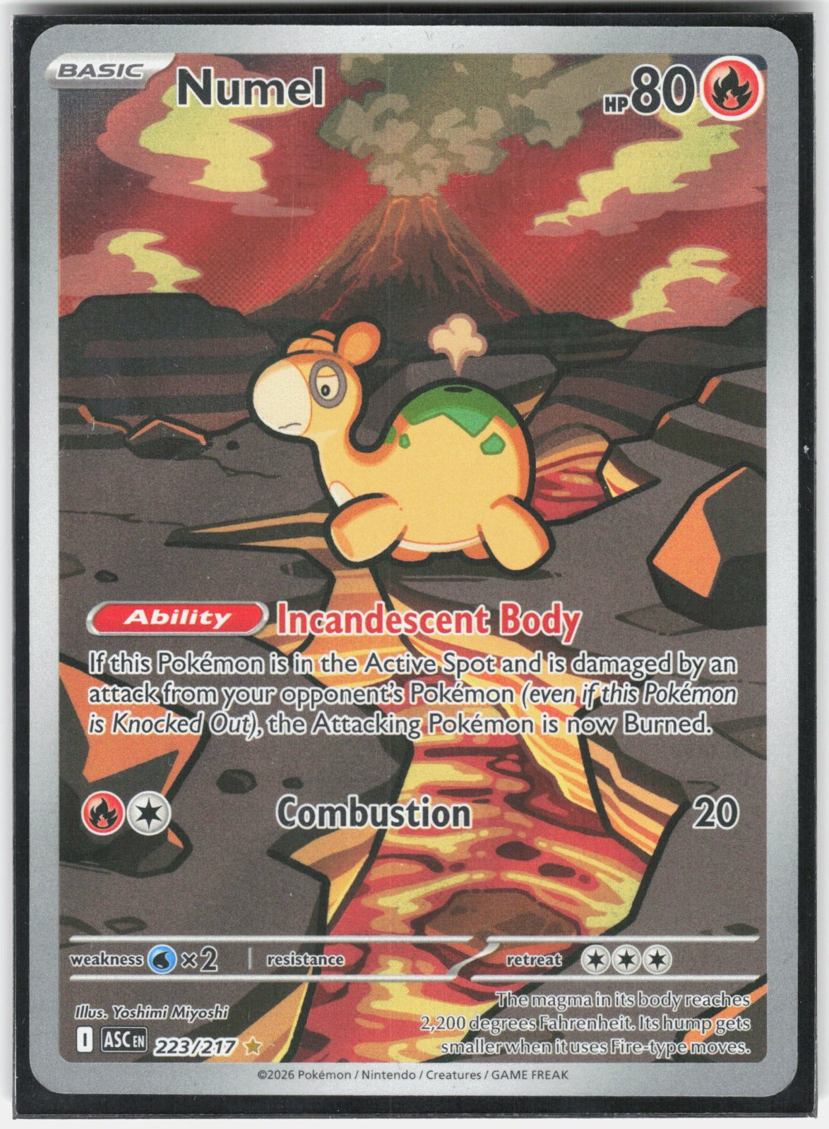 Numel Holo Illustration Rare ME: Ascended Heroes 223/217 NM