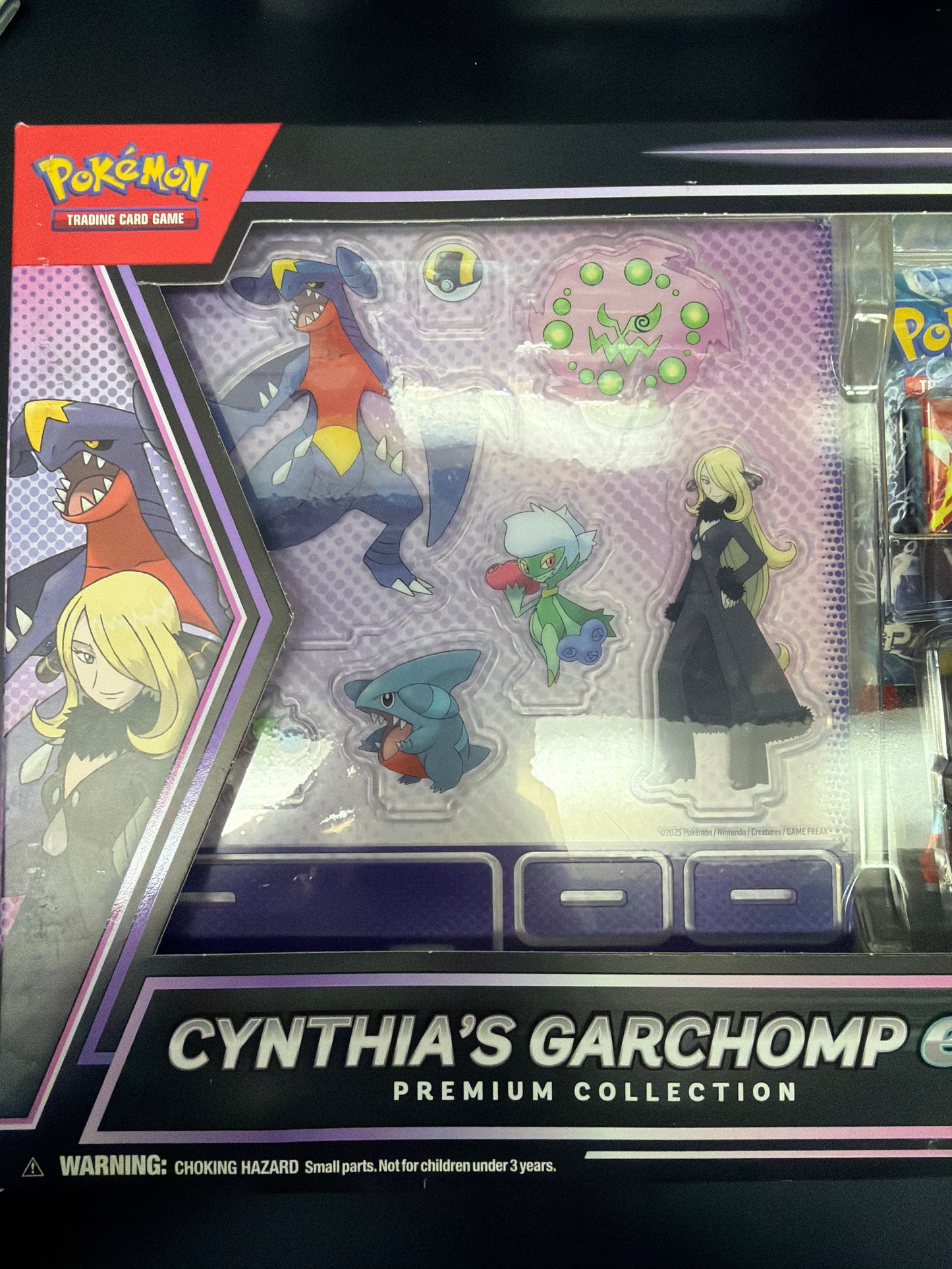 Cynthia’s Garchomp Box