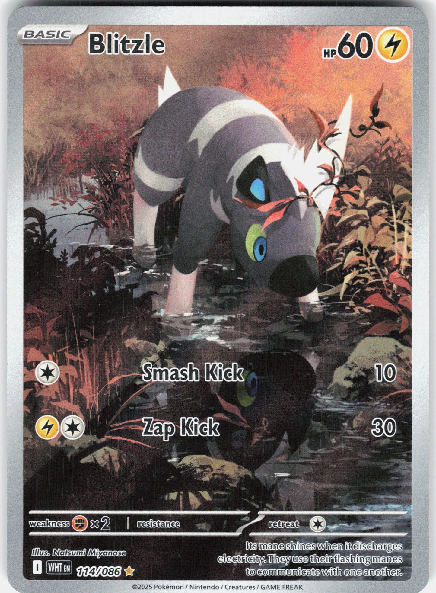 SV: White Flare #114/086 Blitzle