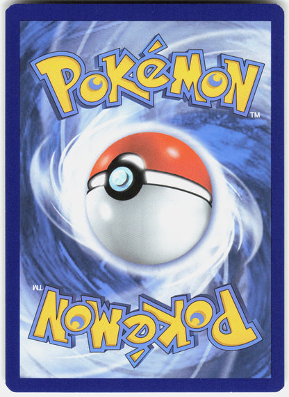 SWSH: Sword & Shield Promo Cards #SWSH233 Squirtle