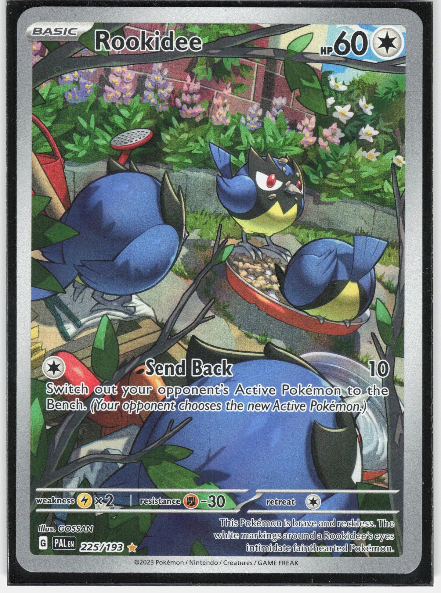 SV02: Paldea Evolved #225/193 Rookidee