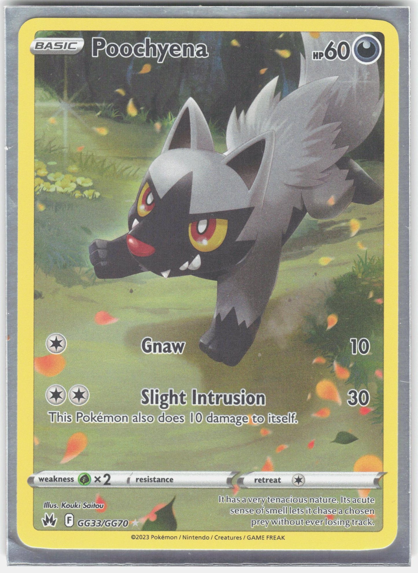SWSH: Crown Zenith: Galarian Gallery #GG33/GG70 Poochyena
