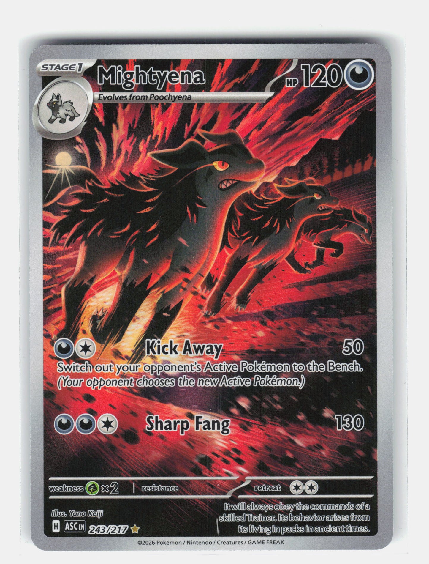 ME: Ascended Heroes #243/217 Mightyena