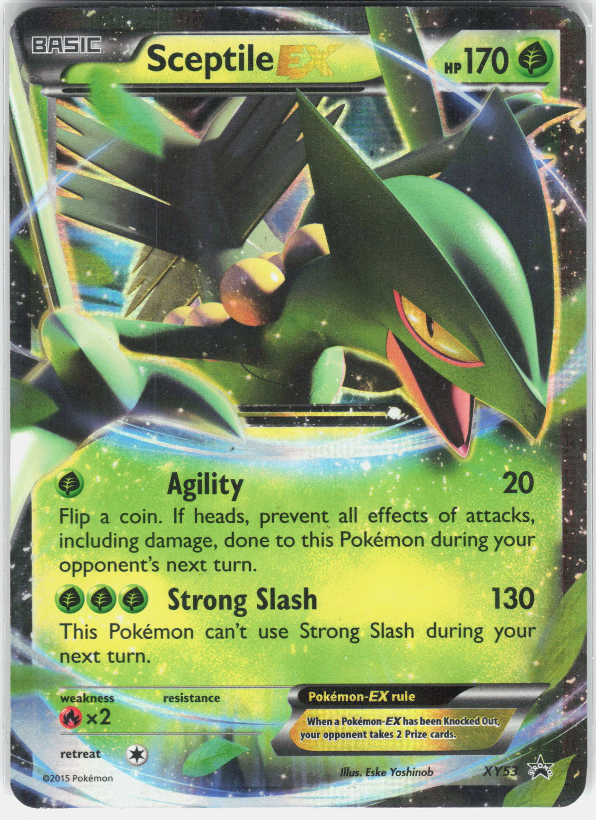 XY Promos #XY53 Sceptile EX