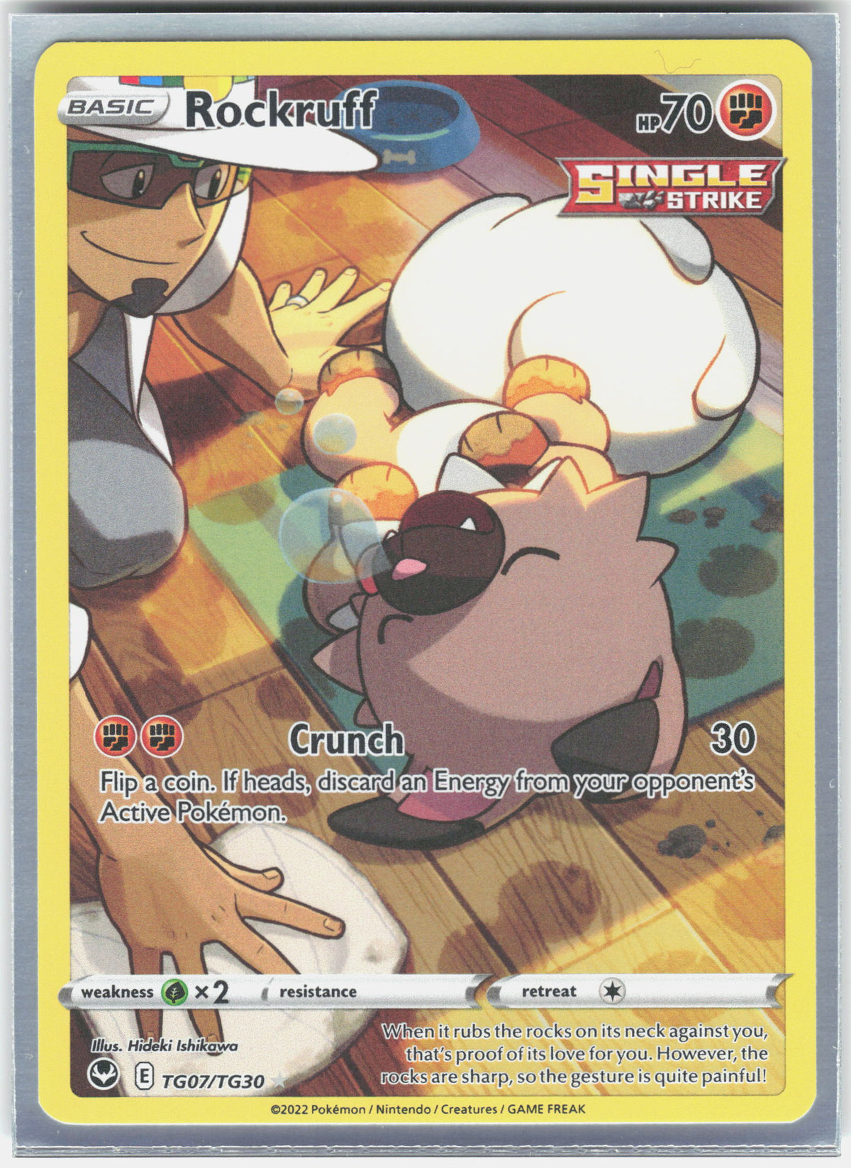SWSH12: Silver Tempest Trainer Gallery #TG07/TG30 Rockruff
