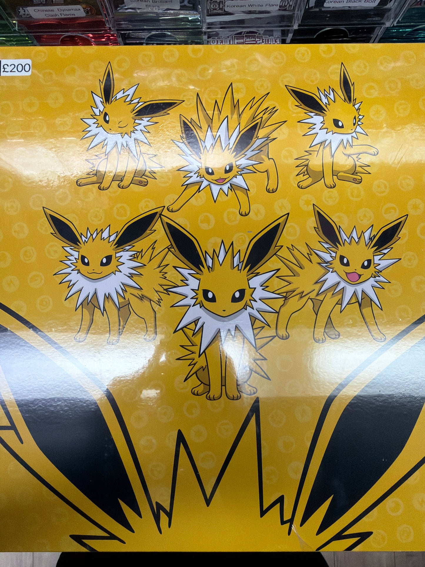 Eeveelution Chinese Binder Box
