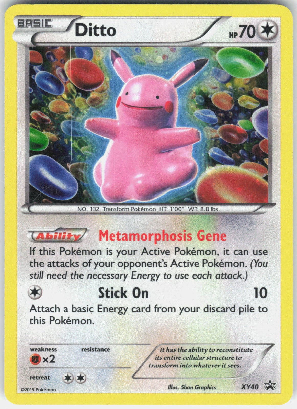 Ditto Holo Promo XY Promos XY40 MP