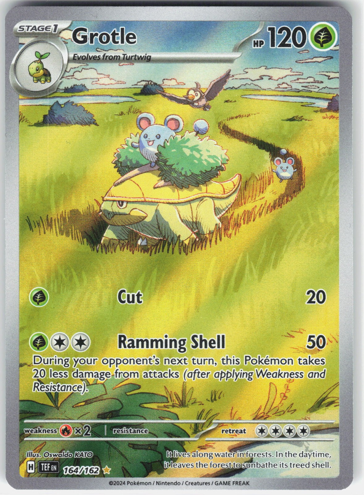 Grotle Holo Illustration Rare SV05: Temporal Forces 164/162 NM